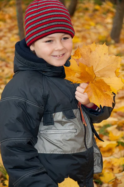 Le Garçon dans le parc d'automne avec un bouquet de feuilles d'érable — Photo