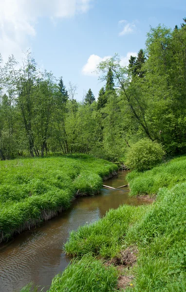 stock image Environmentally-friendly summer landscape, Russia