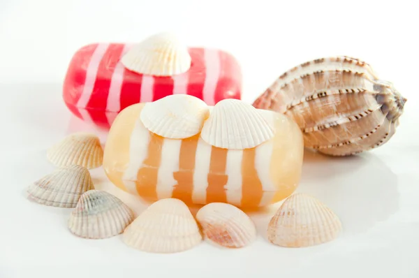 SPA kit, soap, and shells — Stock Photo, Image