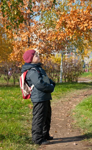 Een jongen met een rugzak in de herfst stadspark — Stockfoto