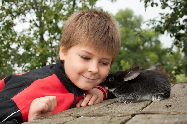 stock image A boy with a rabbit in the garden on a summer residence
