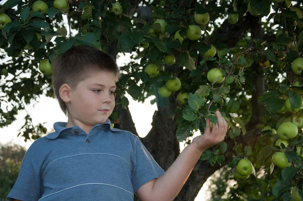 Portret van een jongen op een achtergrond van groene appels met appels — Stockfoto