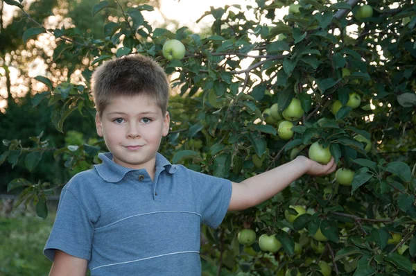 Retrato de um menino em um fundo de maçãs verdes com maçãs — Fotografia de Stock