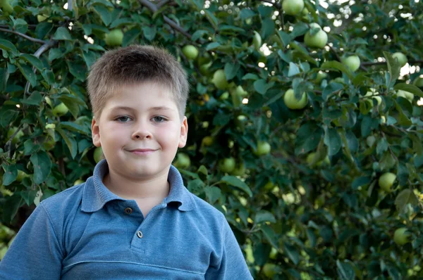 Porträtt av en pojke på en bakgrund av gröna äpplen med äpplen — Stockfoto