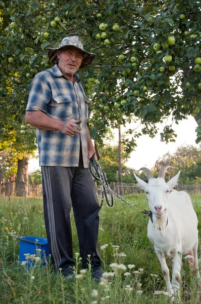 Um homem idoso com uma cabra branca no jardim — Fotografia de Stock