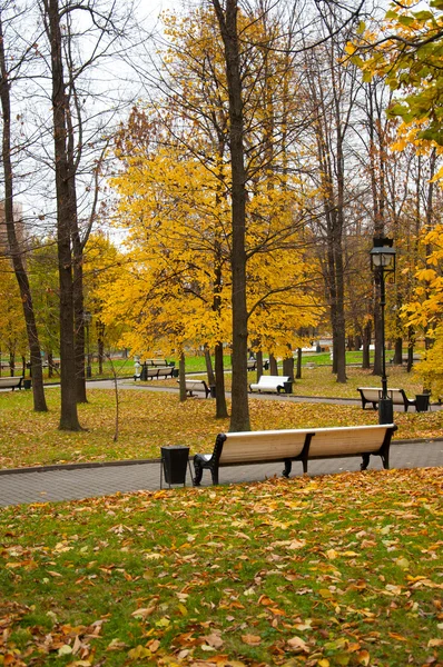 Krásný park s lavičkami, na podzim — Stock fotografie