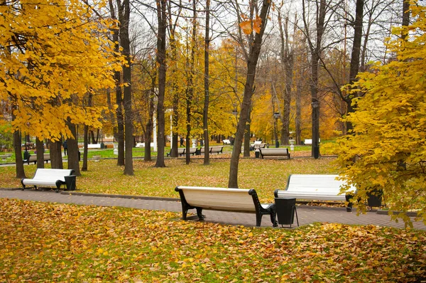 Красивий парк з лавками восени — стокове фото