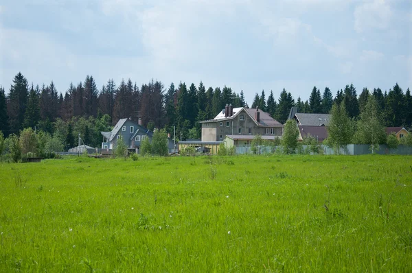 Cottage village near the pine forests and meadows — Stock Photo, Image