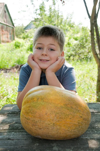 少年と彼の手で大きなメロンの収穫します。 — ストック写真