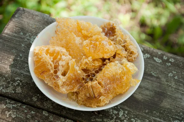 Bee natural honey in honeycombs outdoors in the garden — 스톡 사진