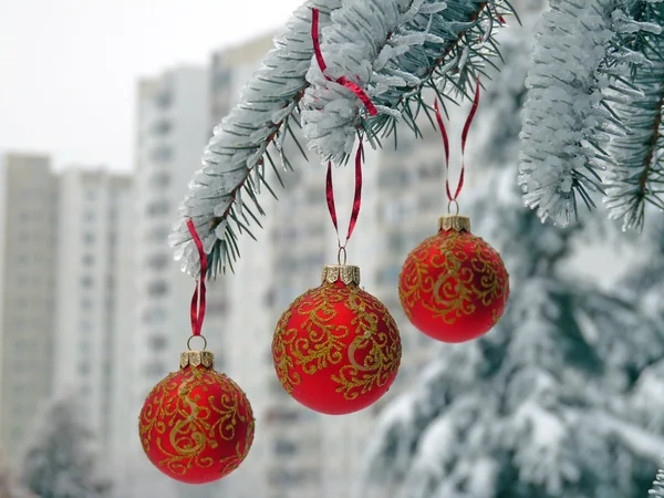 Bolas de Natal no abeto coberto de neve — Fotografia de Stock