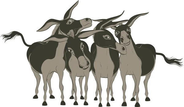 Donkeys — Stock Vector