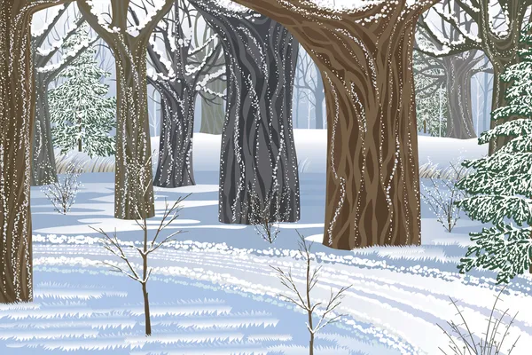 Floresta de inverno sonho — Vetor de Stock