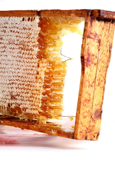 Een honing — Stockfoto