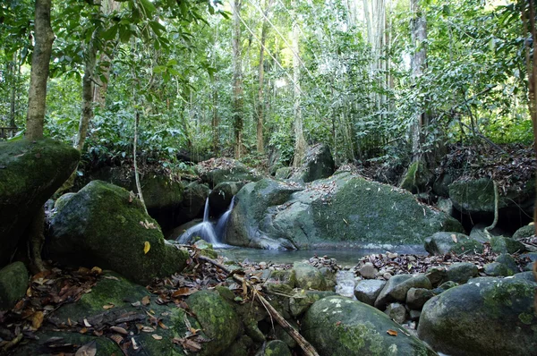 Waterfalls in rainforest — Stock Photo, Image