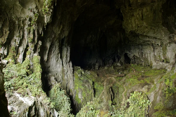 Печери фея. Борнео — стокове фото