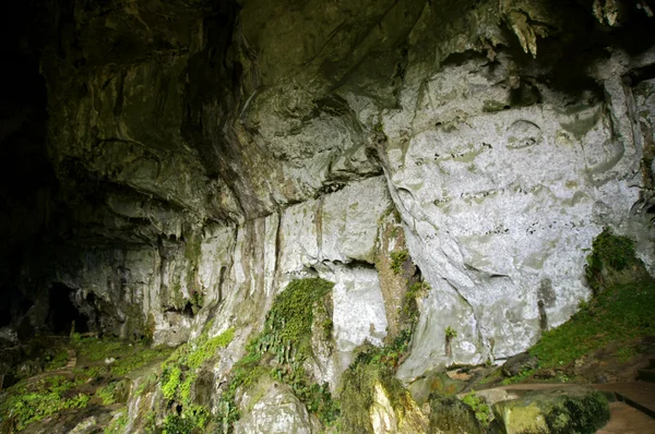 Höhlenfee. borneo — Stockfoto