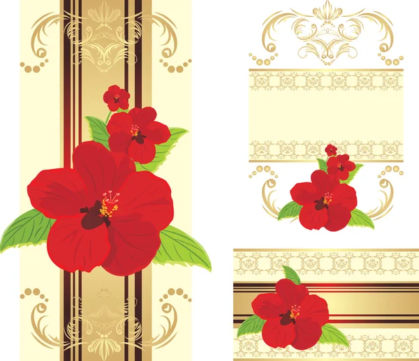 Красные цветы на декоративной ленте с орнаментом. Комплект для дизайна — стоковый вектор