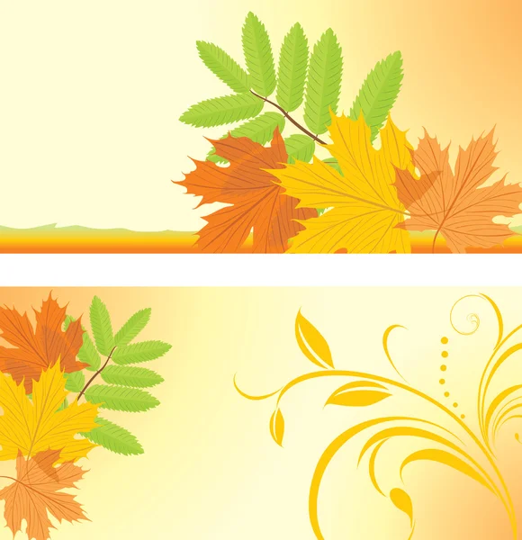 Banderas de otoño con hojas de arce y fresno — Vector de stock