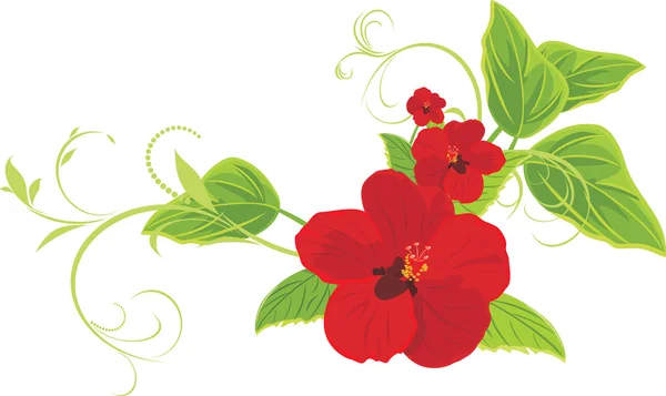 红色花朵与小树枝 — 图库矢量图片