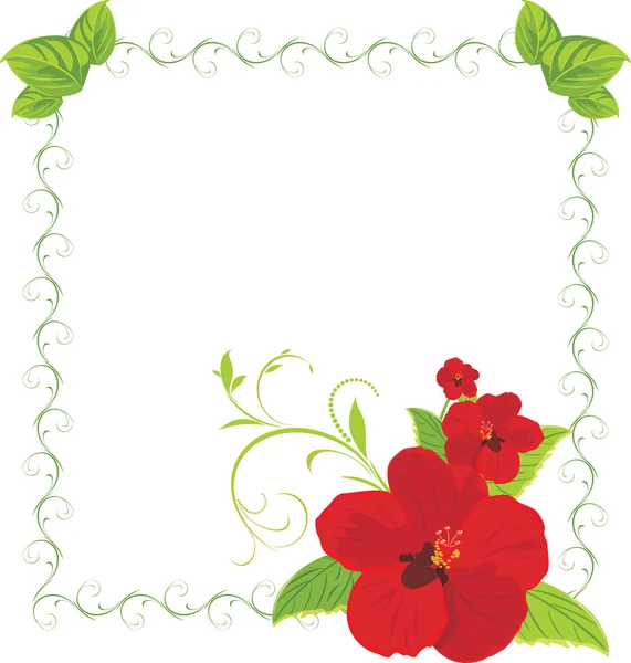 Red flowers in the decorative frame — Stock Vector
