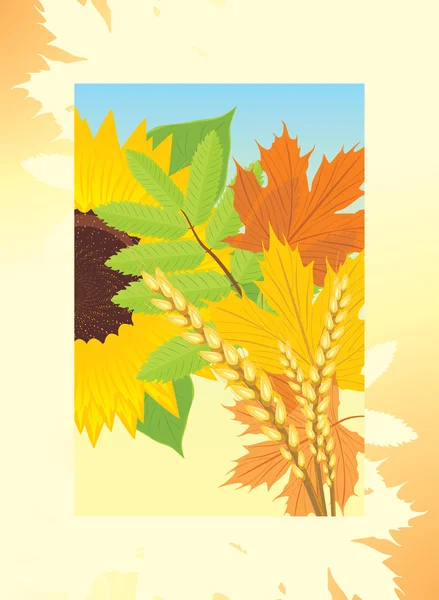 Herbstrahmen mit Blättern, Sonnenblumen und Weizenähren — Stockvektor