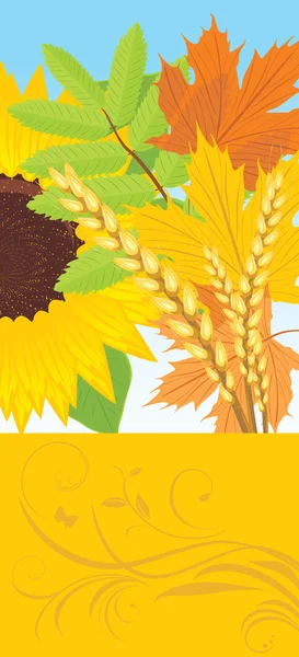 Abstract autumn banner with leaves, sunflower and wheat ears — Stock Vector