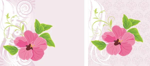 Flor rosa no fundo decorativo. Duas cartas — Vetor de Stock