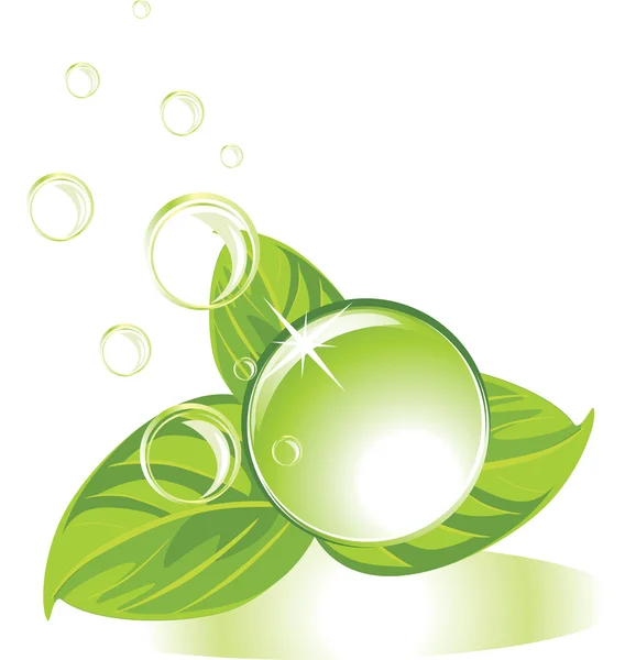 Drop with leaves and bubbles — Stock Vector