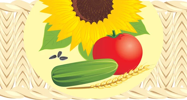 Sonnenblume mit Kernen, Tomate, Gurke und Weizenähre auf der wattierten Serviette — Stockvektor