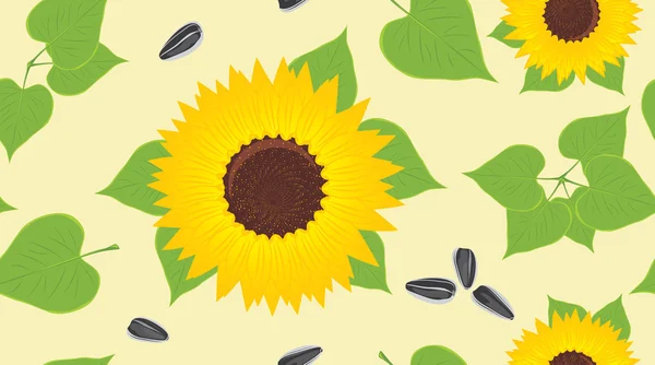 Sonnenblumen und Kerne. dekorativer Hintergrund — Stockvektor