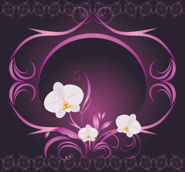 Orquídeas en el marco decorativo — Vector de stock