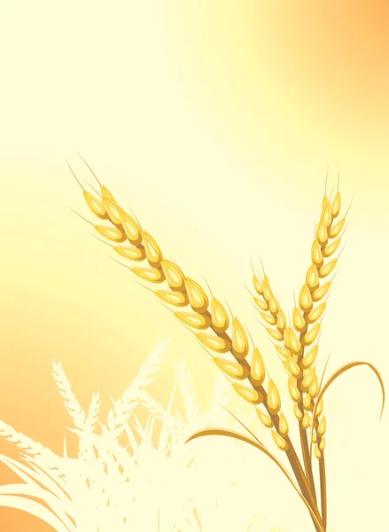 Wheat ears on the abstract background — Stock Vector