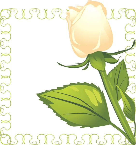 Біла троянда в декоративній рамці — стоковий вектор