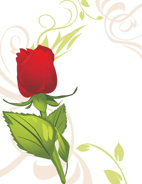 Rosa rossa sullo sfondo decorativo — Vettoriale Stock