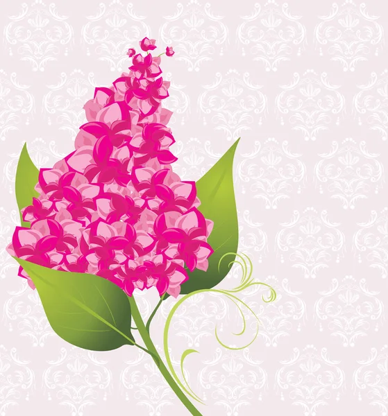 Branche de lilas sur le fond décoratif — Image vectorielle