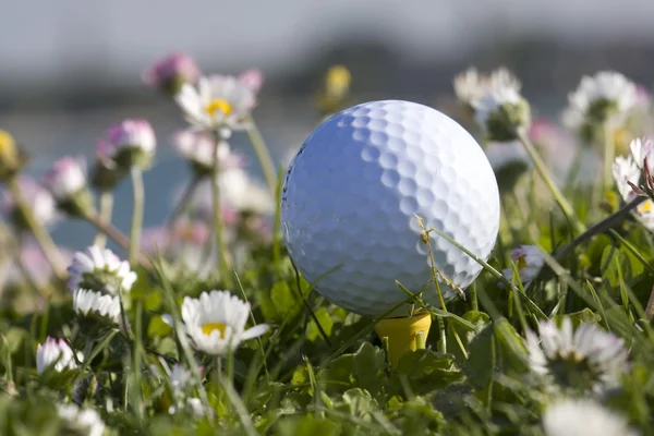 Bola de golfe e flores — Fotografia de Stock