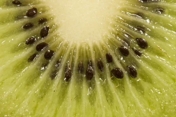 Tekstur Kiwi — Stok Foto