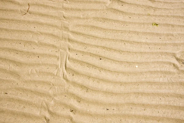 砂質 — ストック写真