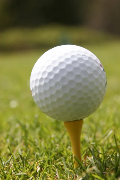 Golf ball on tee — Stock Photo, Image