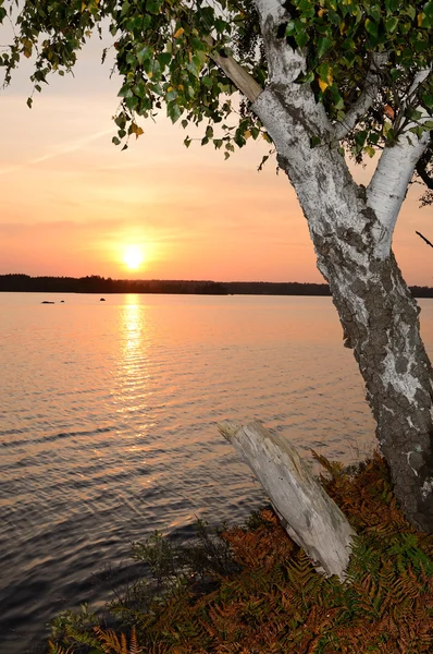 Pôr do sol do lago de setembro — Fotografia de Stock