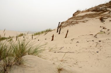 Dunes bulutlu peyzaj