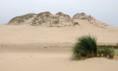 Dunes peyzaj