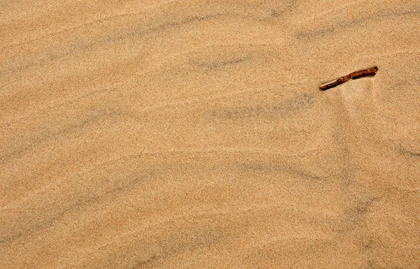 Sand background with wood stick — Stock Photo, Image
