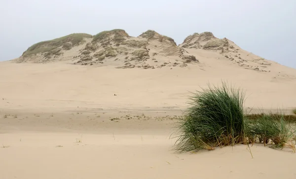 Dunes landscape — Stock Photo, Image