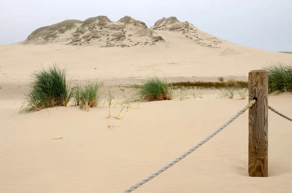 Idyllic dunes landscape — Stock Photo, Image