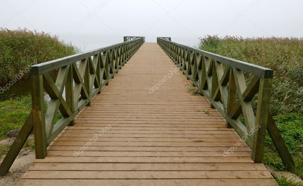 The bridge perspective