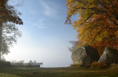 Foggy lake autumn's landscape clipart