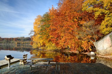 Beautiful grill place in autumn colors clipart