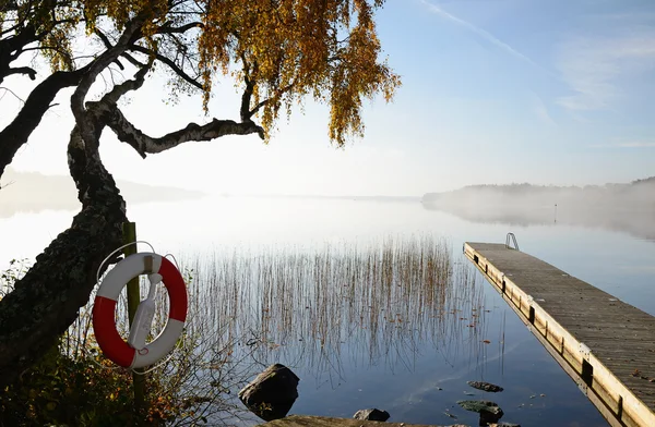 Stock image October's morning on Swedish lake